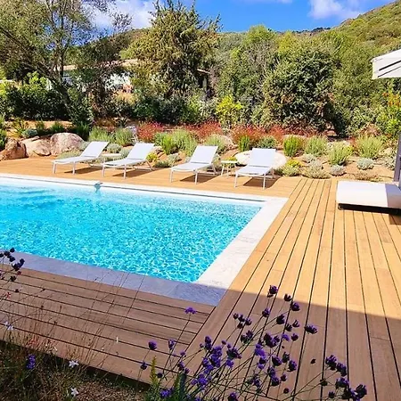 Villa Alba, 8 Pers, Piscine Chauffée, 5 Minutes Cirendinu